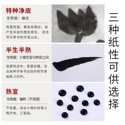 三尺四尺六尺生宣半生半熟宣纸书法国画练习专用安徽泾县宣 纸批发图2