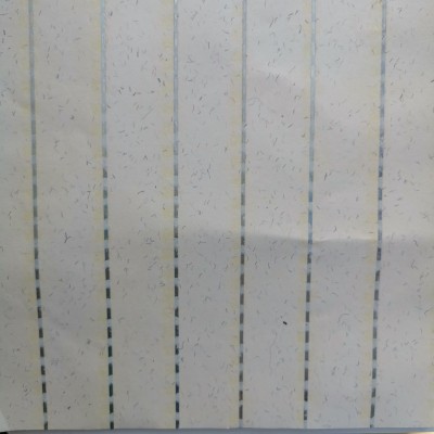 80克 120克 150克 荧光彩色纤维 水印 开窗 安全线 防伪纸 证券纸图5