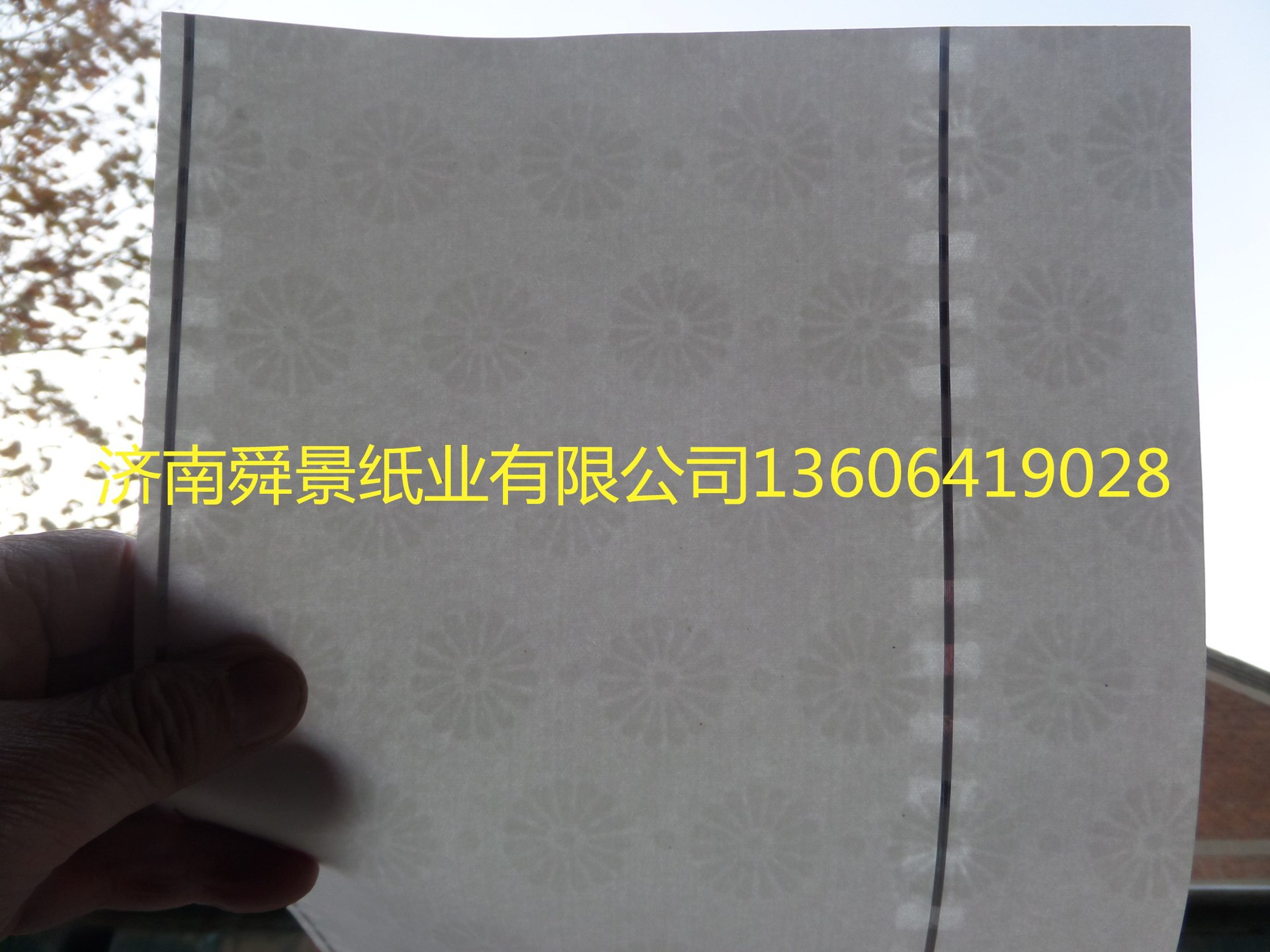 SAM_9528_副本