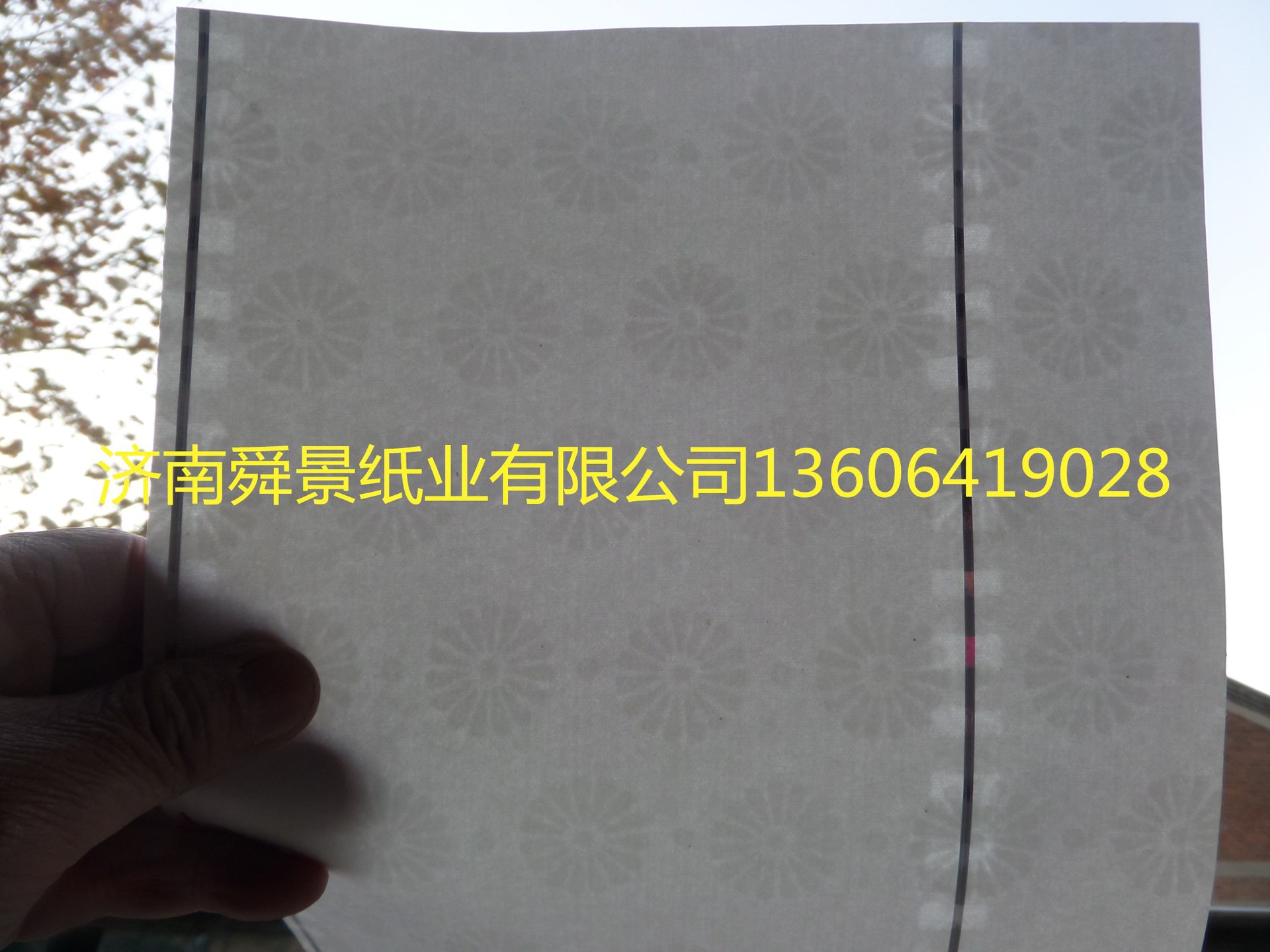 SAM_9527_副本