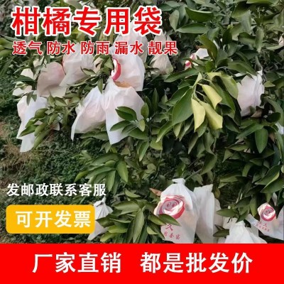 柑橘套袋橘子果袋丑橘橙子耙耙柑防虫防鸟石榴沃柑脐橙水果纸套袋