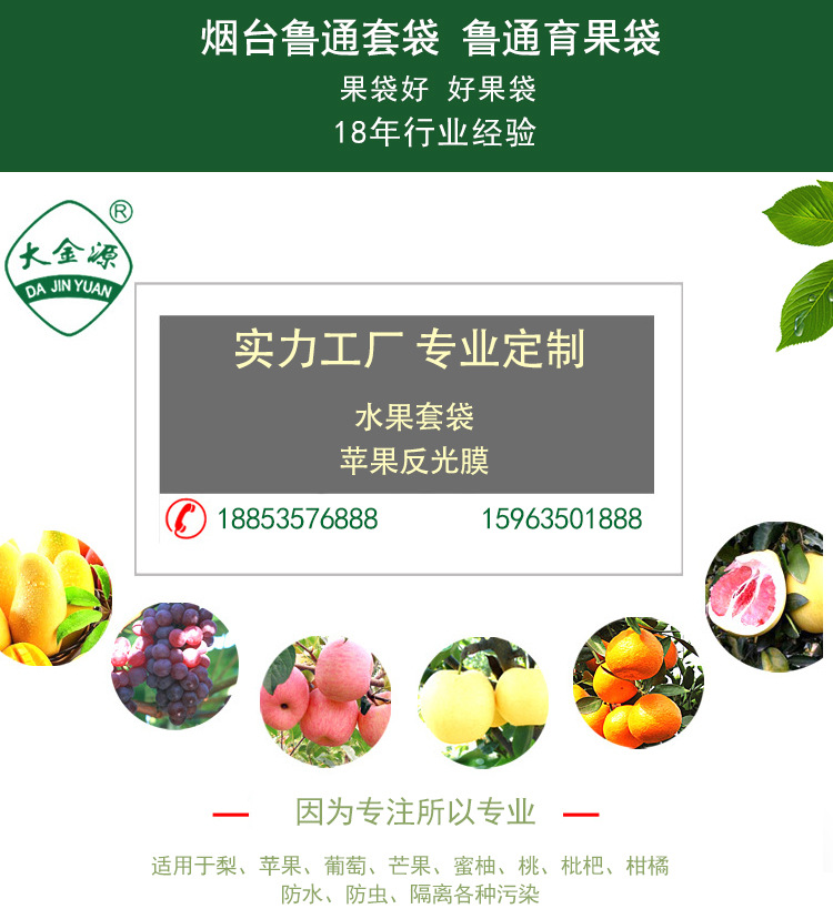 袋子详头