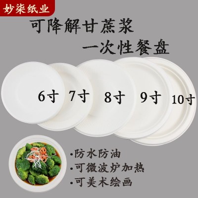 一次性甘蔗浆纸盘批发纸碟子6寸7寸8寸9寸10圆盘手工绘画盘幼儿园图2