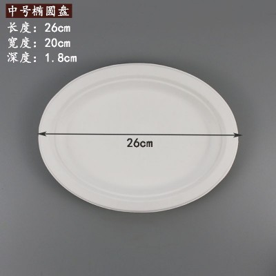 一次性甘蔗浆纸盘批发纸碟子6寸7寸8寸9寸10圆盘手工绘画盘幼儿园图3