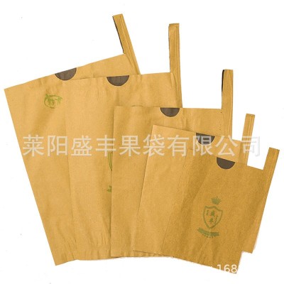 【盛丰】枇杷芒果专用纸袋高档水果保护套袋防鸟虫单双层水果套袋图5