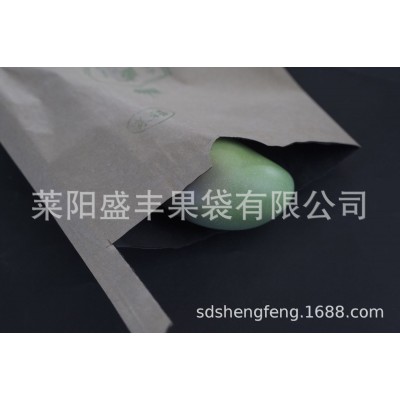 【盛丰】枇杷芒果专用纸袋高档水果保护套袋防鸟虫单双层水果套袋图3