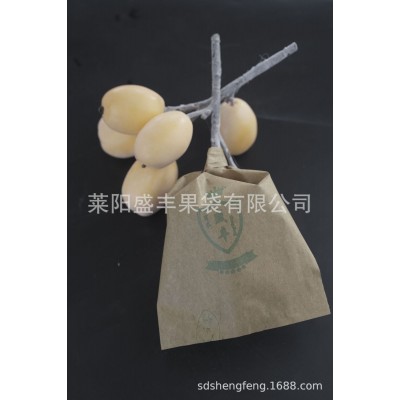 【盛丰】枇杷芒果专用纸袋高档水果保护套袋防鸟虫单双层水果套袋图2
