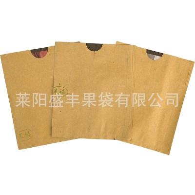【盛丰】苹果套袋防鸟虫防水育果袋单双层苹果保护套袋图5