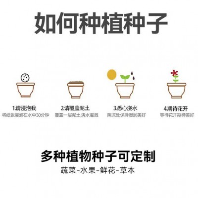 种子纸厂家定制活动演唱会门票婚礼请帖书签吊牌名片发芽卡片纸张图2