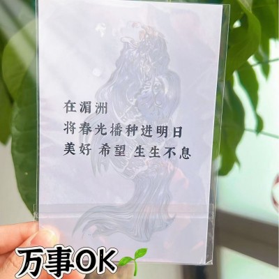 种子纸厂文旅地标文创门票式入场券演唱会门票毕业机构培训手册图4