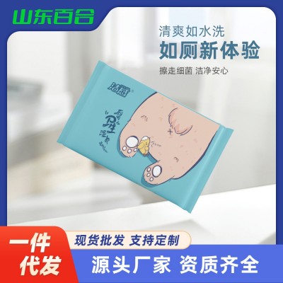 便携湿巾7包厕用湿巾30抽湿厕纸湿巾便捷一次性湿巾纸厂家批发图3