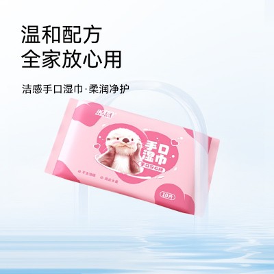 湿巾小包便携湿纸巾新生儿婴儿宝宝手口专用儿童学生随身装10包图2