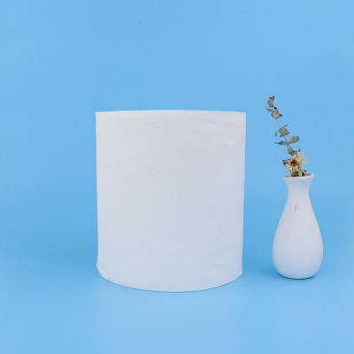 export Toilet tissue Roll paper 工厂批发外贸卷纸拼柜出口卷纸图2