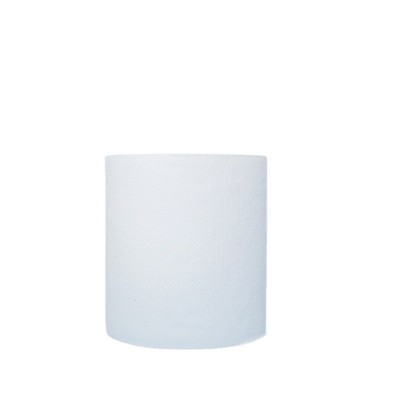 export Toilet tissue Roll paper 工厂批发外贸卷纸拼柜出口卷纸图4