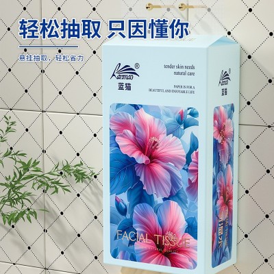 蓝猫抽纸2大提悬挂式家用纸巾挂式擦手纸卫生纸批发餐巾纸实惠装图3