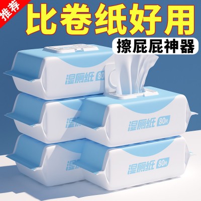 家庭洁厕卫生纸一次性湿厕巾棉柔厕纸擦屁股厕所纸巾厕纸除菌湿巾图2