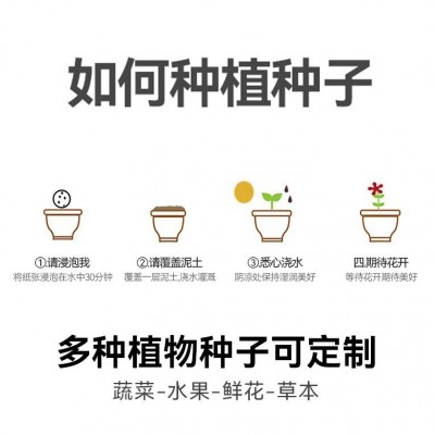 厂家批发种子纸日历办公桌台历发芽种子纸张创意生日节日礼物生产图2