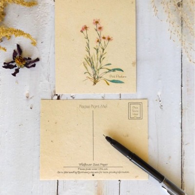 可发芽种子纸 明信片环保礼品品种贺卡邀请函可发芽种子纸图6