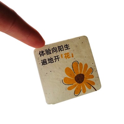 种子纸定 制门票邀请函请柬伴手小礼品可种植种子发芽纸节日卡片图2