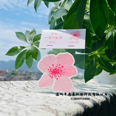 种子纸定 制门票邀请函请柬伴手小礼品可种植种子发芽纸节日卡片图3