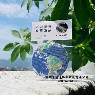种子纸定 制门票邀请函请柬伴手小礼品可种植种子发芽纸节日卡片图5