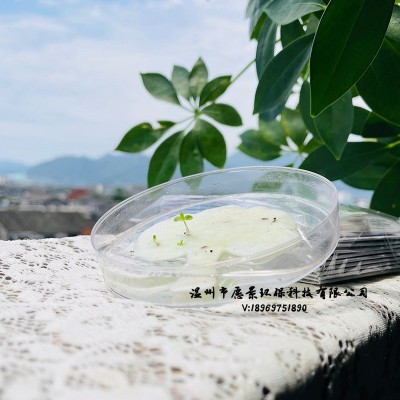 种子纸定 制门票邀请函请柬伴手小礼品可种植种子发芽纸节日卡片图4