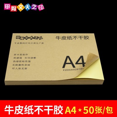 A4不干胶标签纸哑光书写纸不干胶打印纸光面马逊标签贴纸图2
