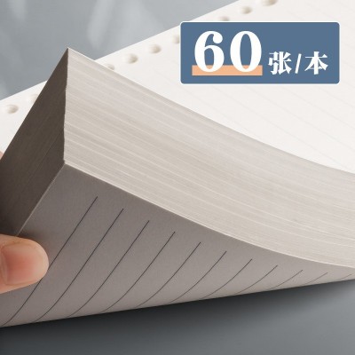 活页纸活页本替芯网格本笔记本可拆卸孔空白英语本内芯替换芯孔孔图4