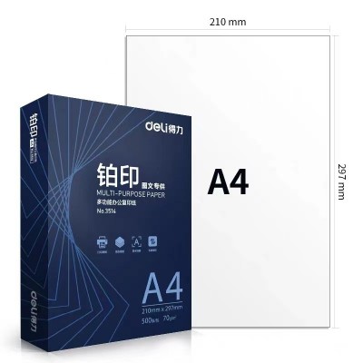 得力A4复印纸打印纸 铂印 70G 500张/包 草稿纸白纸 5包/箱 整箱图2