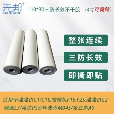 喵喵机max/C1s4寸热敏打印纸印先森啵哩十年长效错题不干胶110*30图2