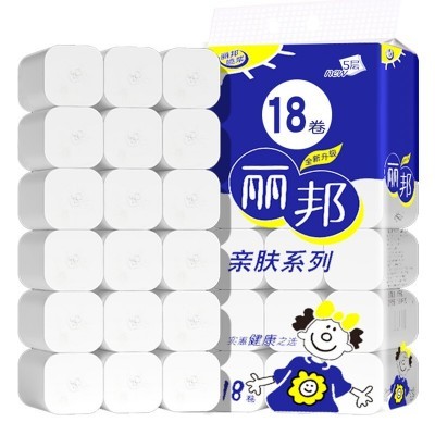 丽邦卷纸卫生纸家用大卷纸巾厕纸无芯卷筒纸手纸厕所用纸 厂家批发图5