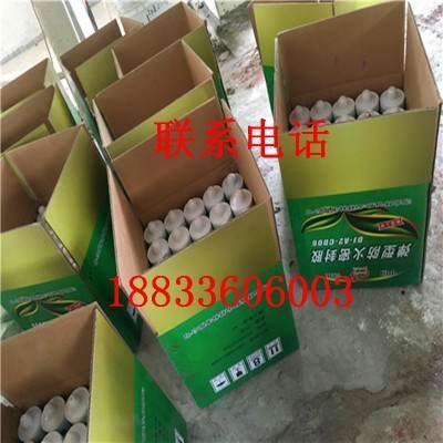 防火密封胶 弹性防火密封胶 膨胀型防火密封胶 防火封堵密封胶图2