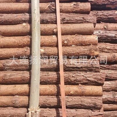 纸浆 原生木浆 针叶木浆纤维 现货 工业艺术试验应用 漂白纸浆图4