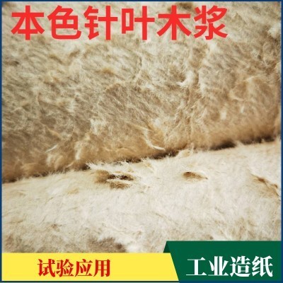 纸浆 原生木浆 针叶木浆纤维 现货 工业艺术试验应用 漂白纸浆