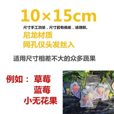 果树防虫网袋水果套袋防鸟纱网袋保护葡萄袋无花果番石榴草莓批发图4