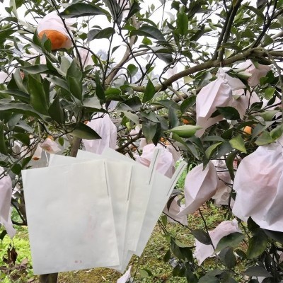 厂家定制款橙子沃柑橘不知火红美人丑橘爱媛脐橙袋袋水果套袋果袋图3