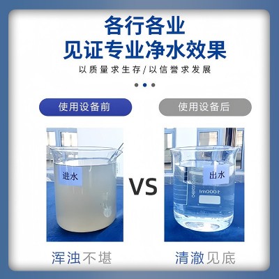 一体化净水设备重力式净水器农村集中用水工业水过滤器直饮水设备图2