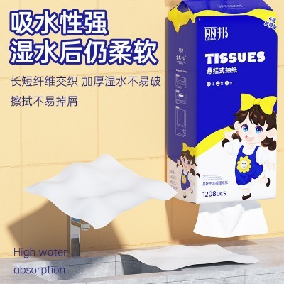 丽邦提挂式抽纸悬挂抽取式卫生纸家用擦手纸厕纸大包平板卫生纸巾图2