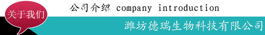 公司介绍