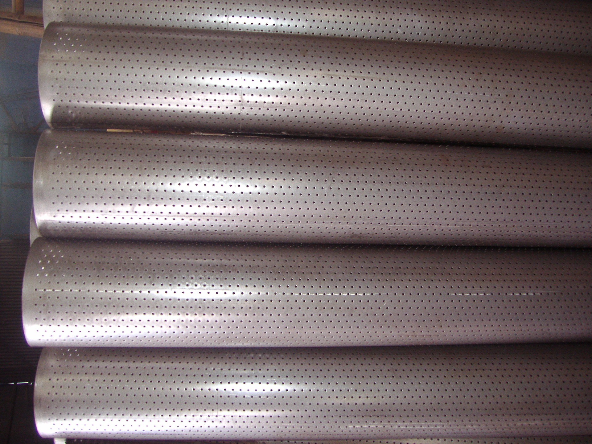 P4200059